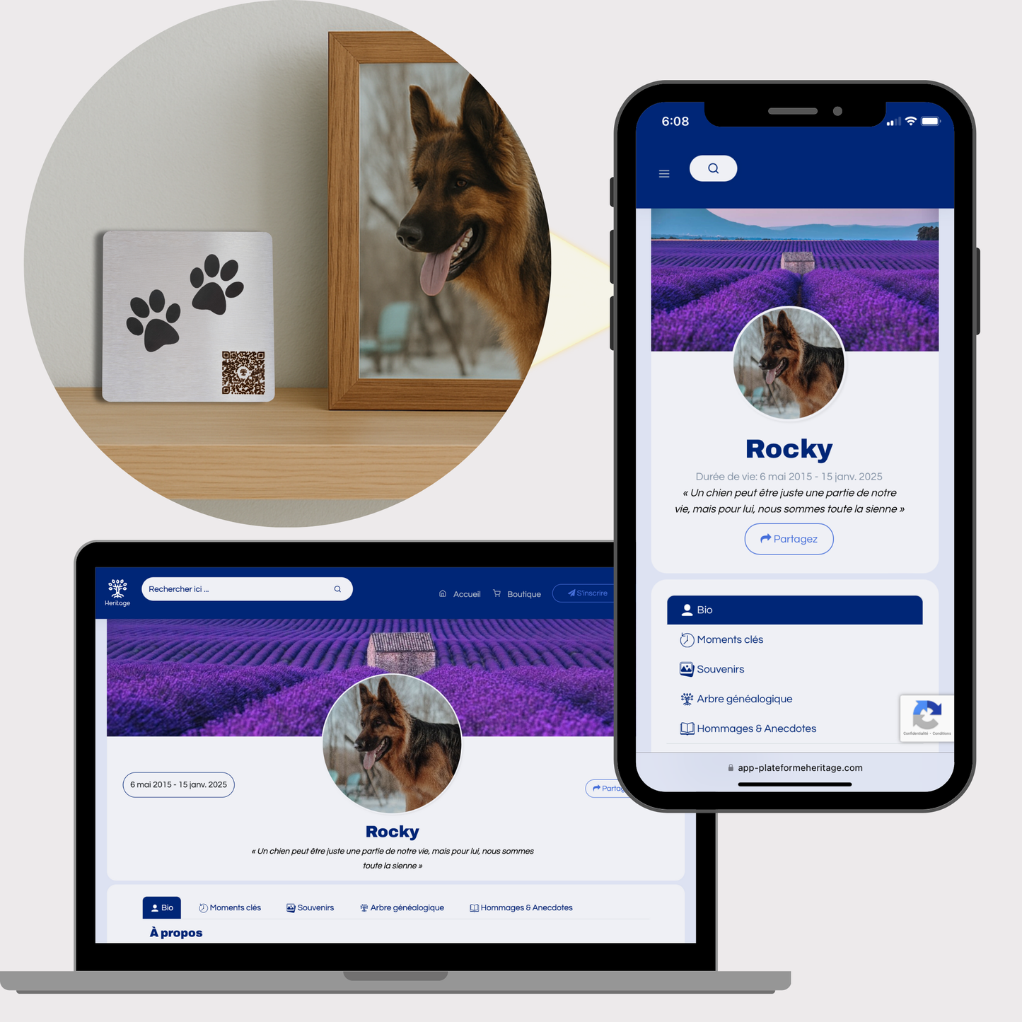 Plaque funéraire pour chien avec code QR menant à un profil commémoratif en ligne. Exemple de profil visible sur téléphone et ordinateur avec souvenirs, photos et anecdotes.