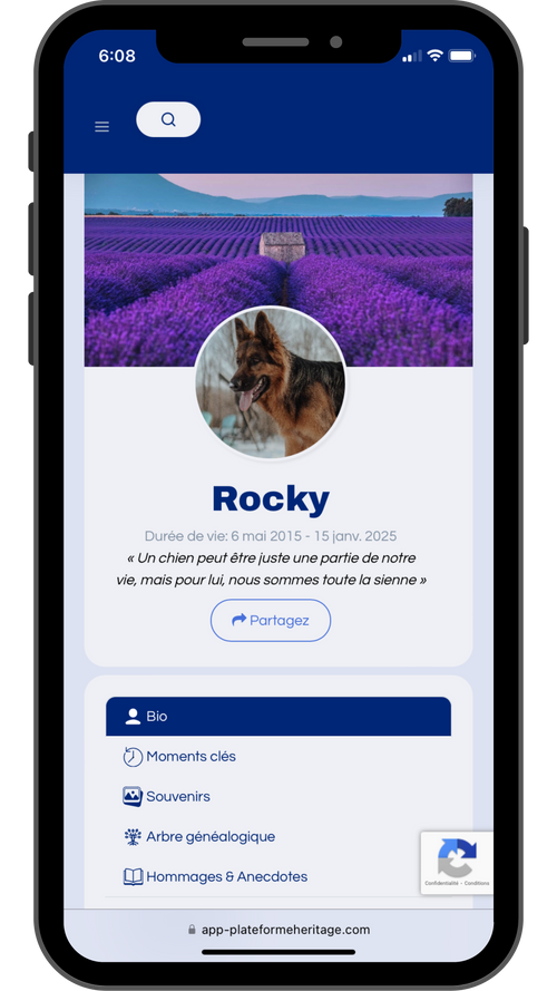 Activez le profil