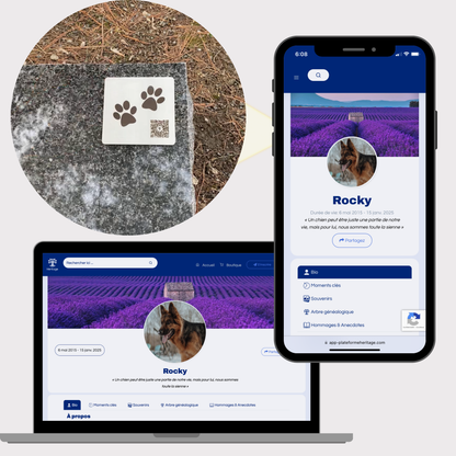Plaque funéraire pour chien avec code QR menant à un profil commémoratif en ligne. Exemple de profil visible sur téléphone et ordinateur avec souvenirs, photos et anecdotes.