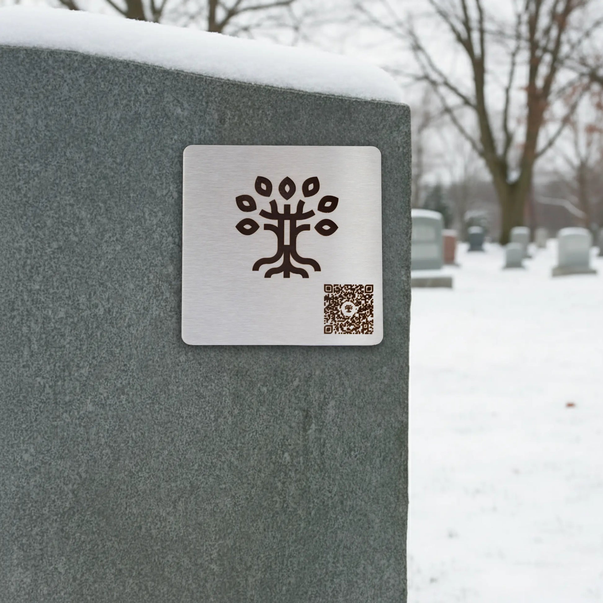 Photo de la plaque Le Recueil (plaque commémorative avec un code QR), collée sur une pierre tombale.